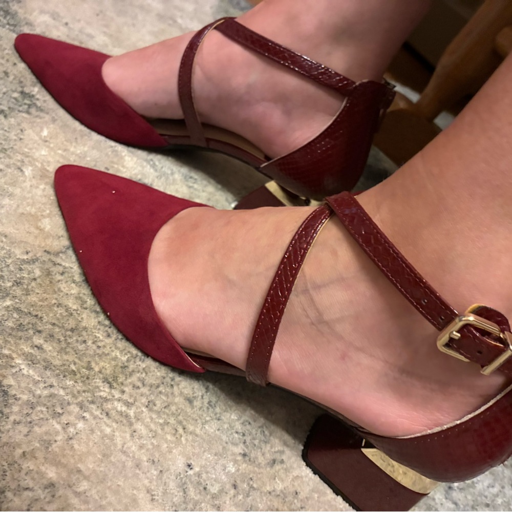 Alex Marie Burgundy Pointed-Toe Ankle-Strap Heels